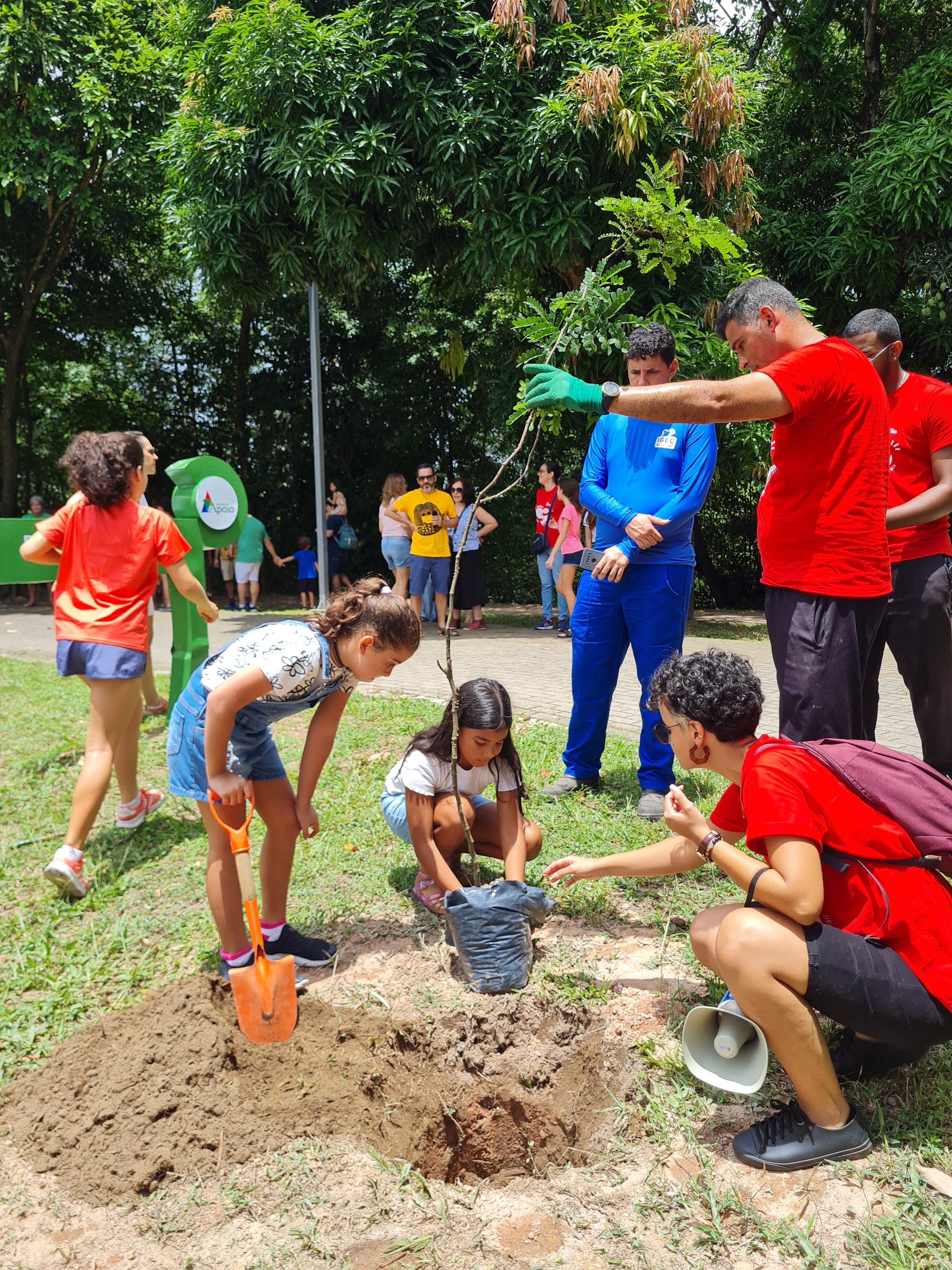 Bosque Apoio à Vida | Plantação Mudas de Pau-Brasil
