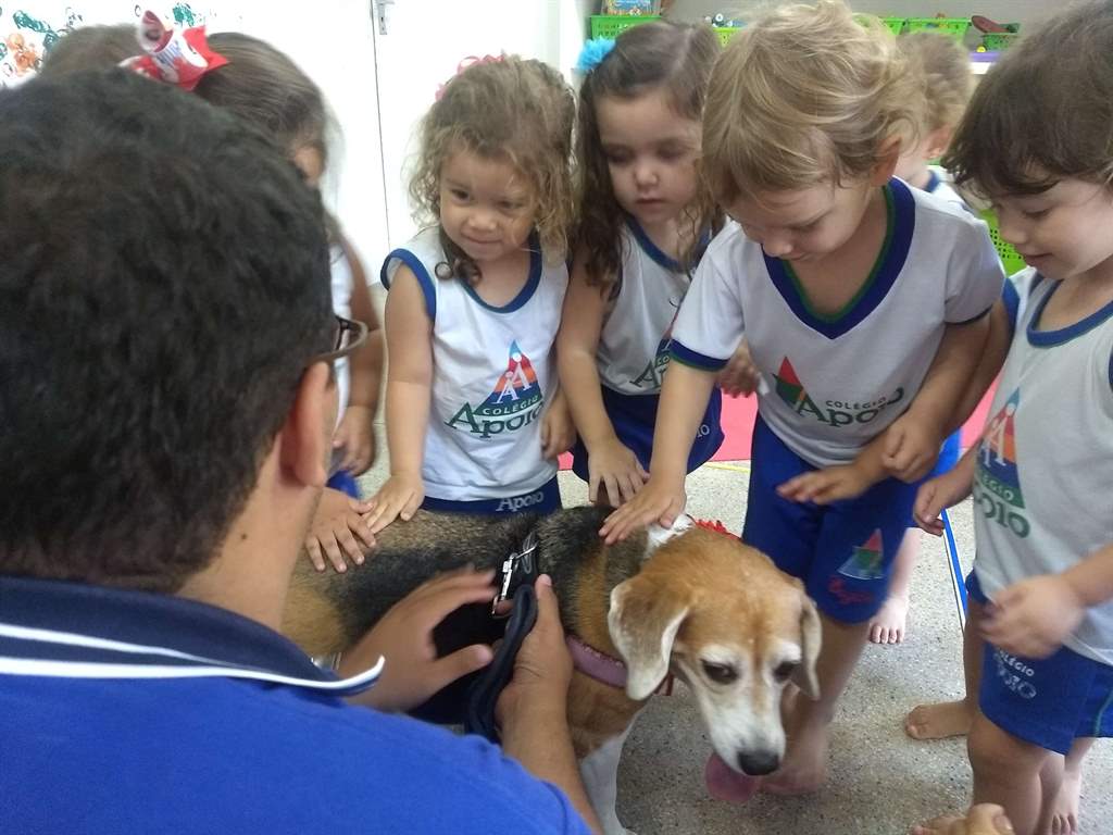 Visita Da Cachorrinha De Leila | Ciclo 1