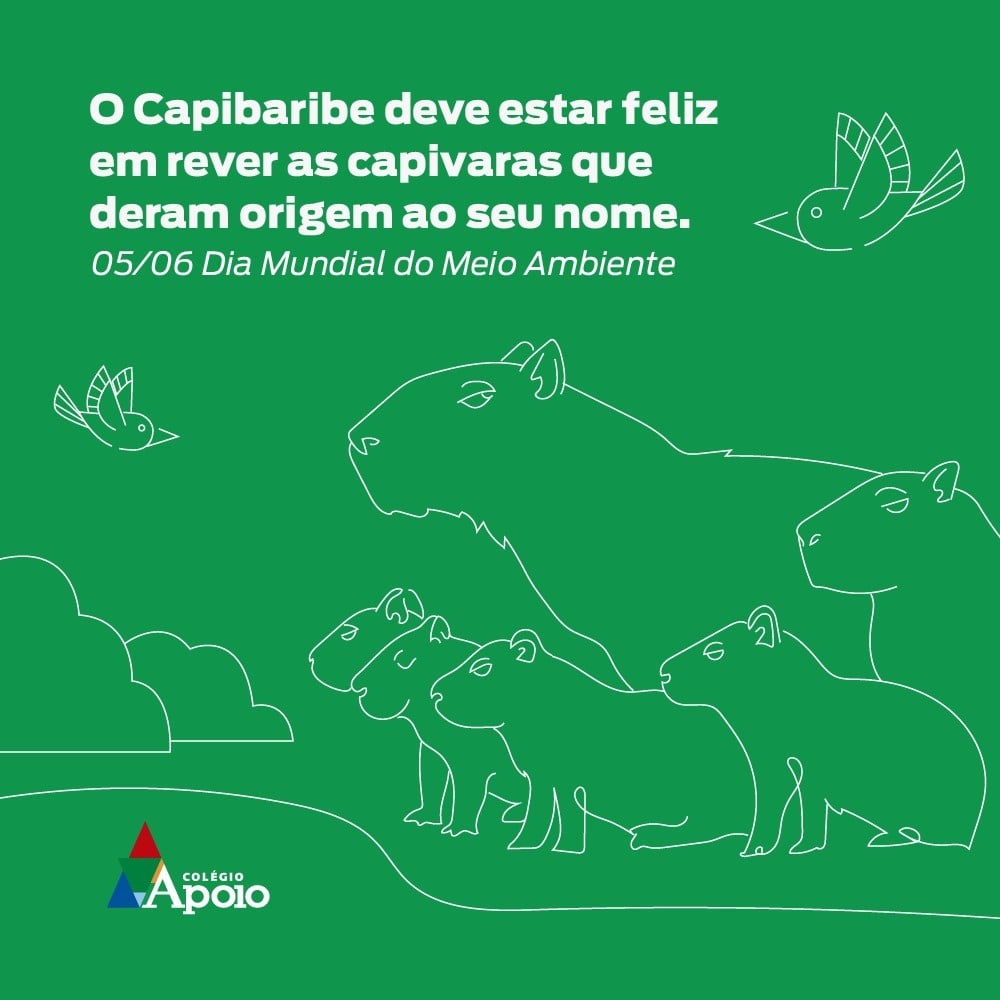 O Capibaribe deve estar feliz em rever as capivaras que deram origem ao seu nome.