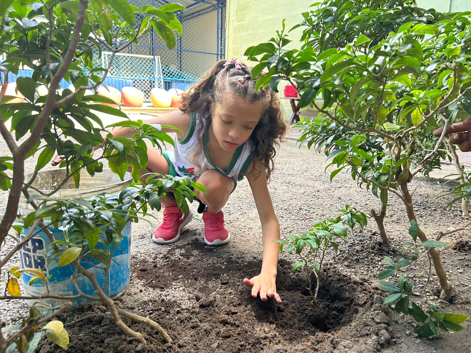 Dia Mundial do Meio Ambiente 2025