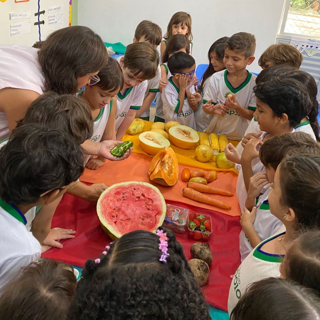 Entre cores e sabores, um aprendizado cheio de descobertas